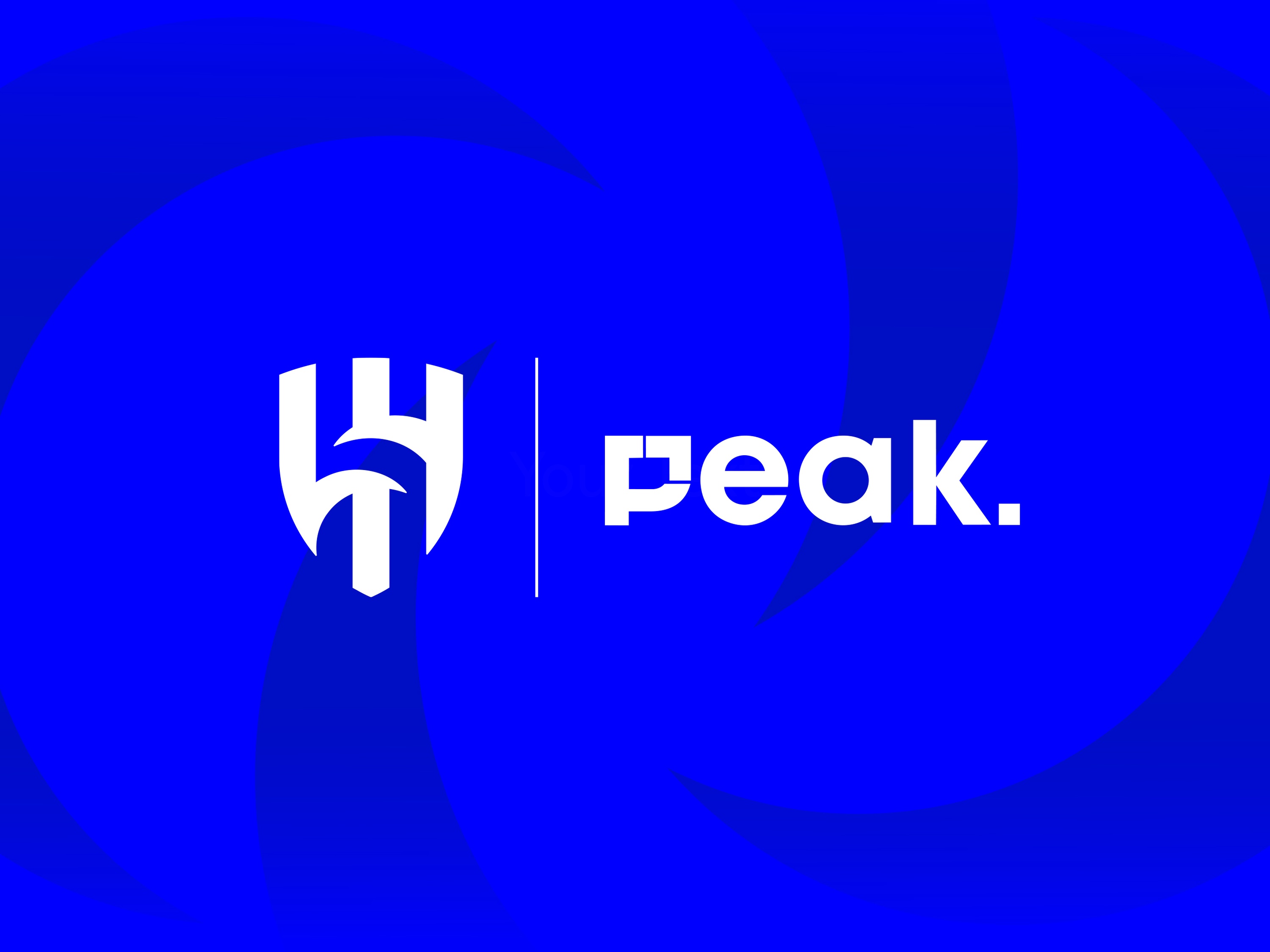 partnerships+WEB+peak.jpg Image