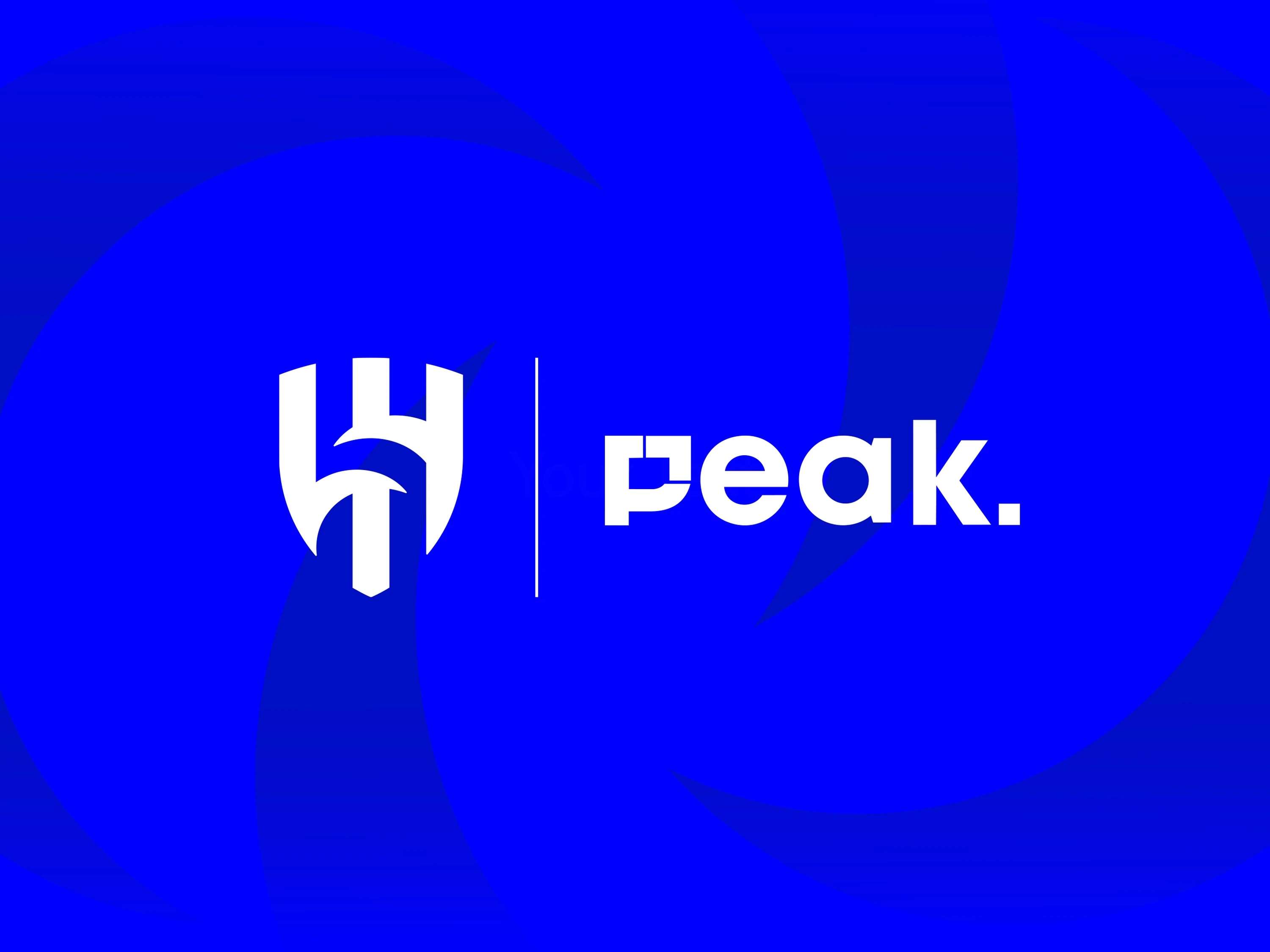partnerships+WEB+peak.jpg Image