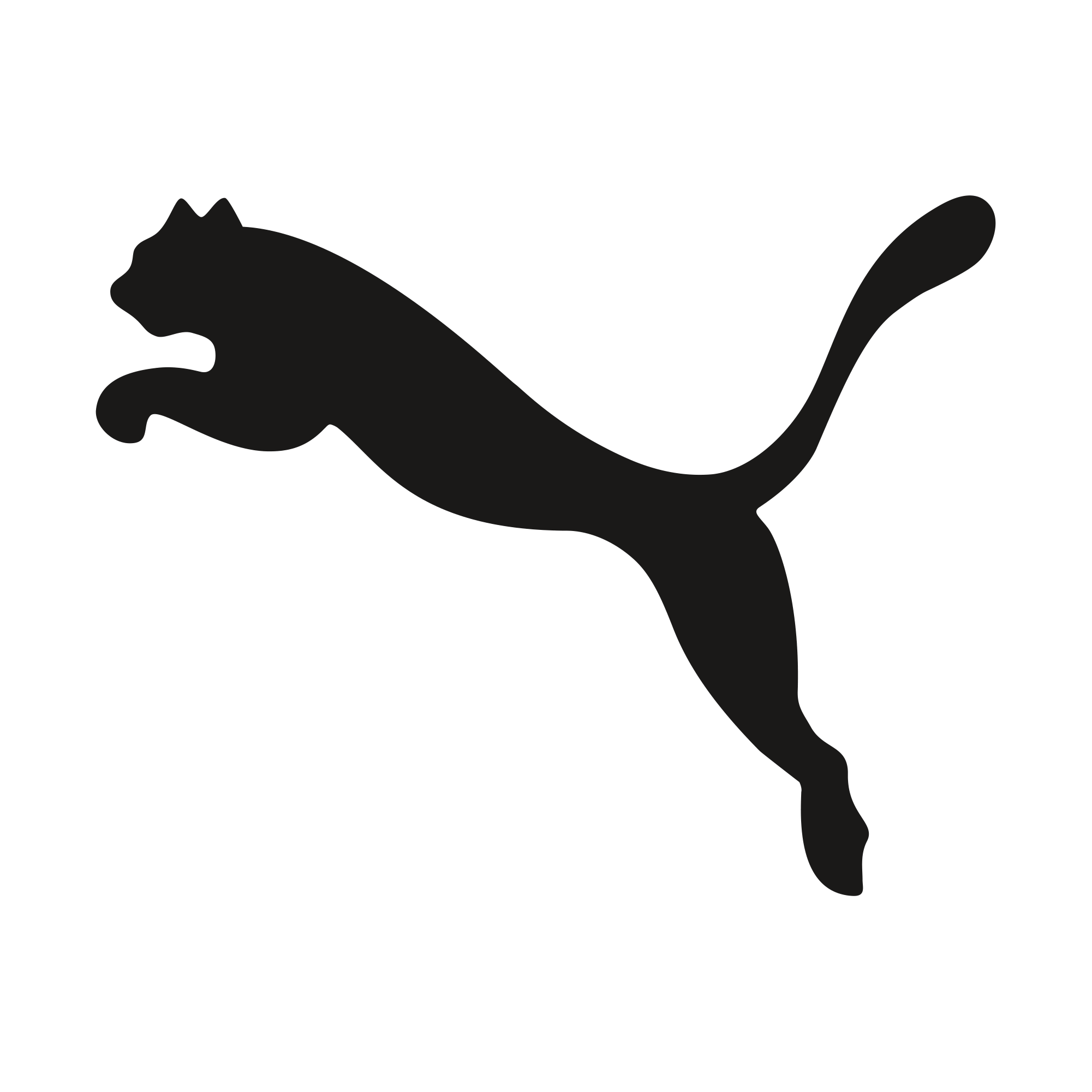 PUMA Logo 