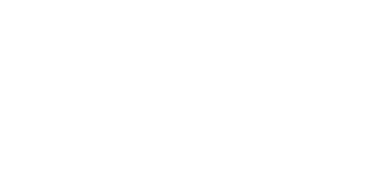 Flynas white logo 
