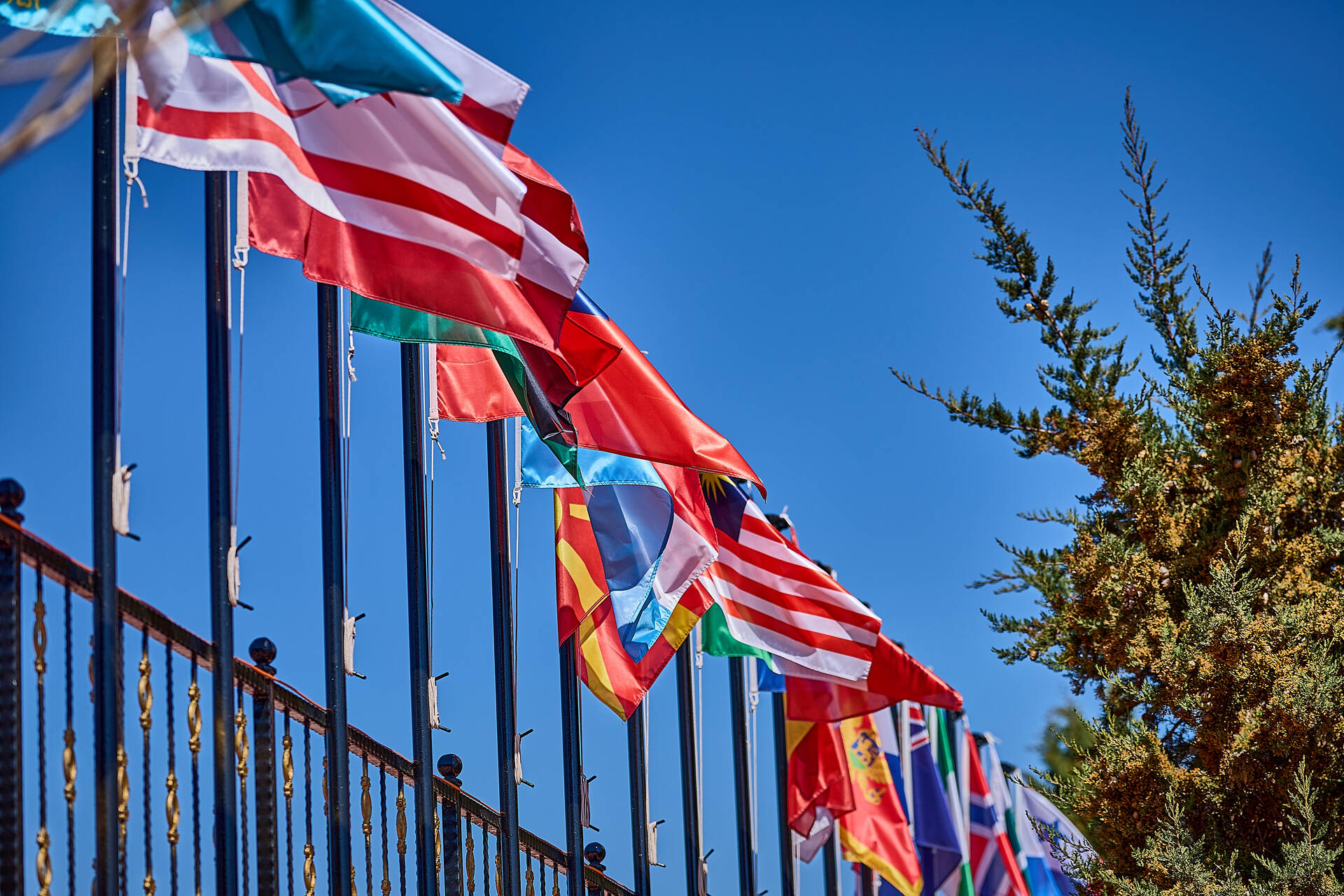 Generic header image – A/O III team nominations