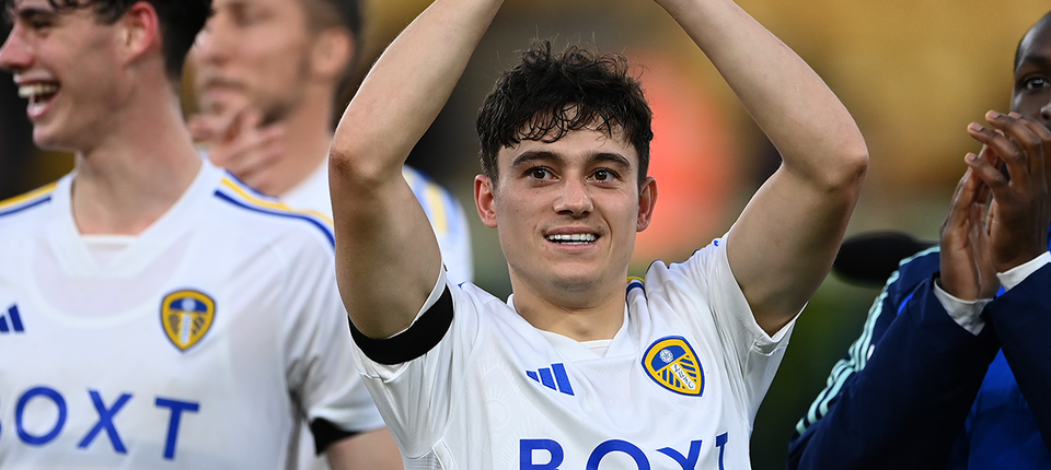 Dan James Banner.png