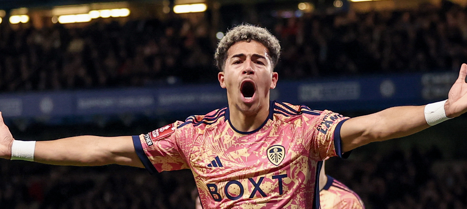 Mateo Joseph Banner.png