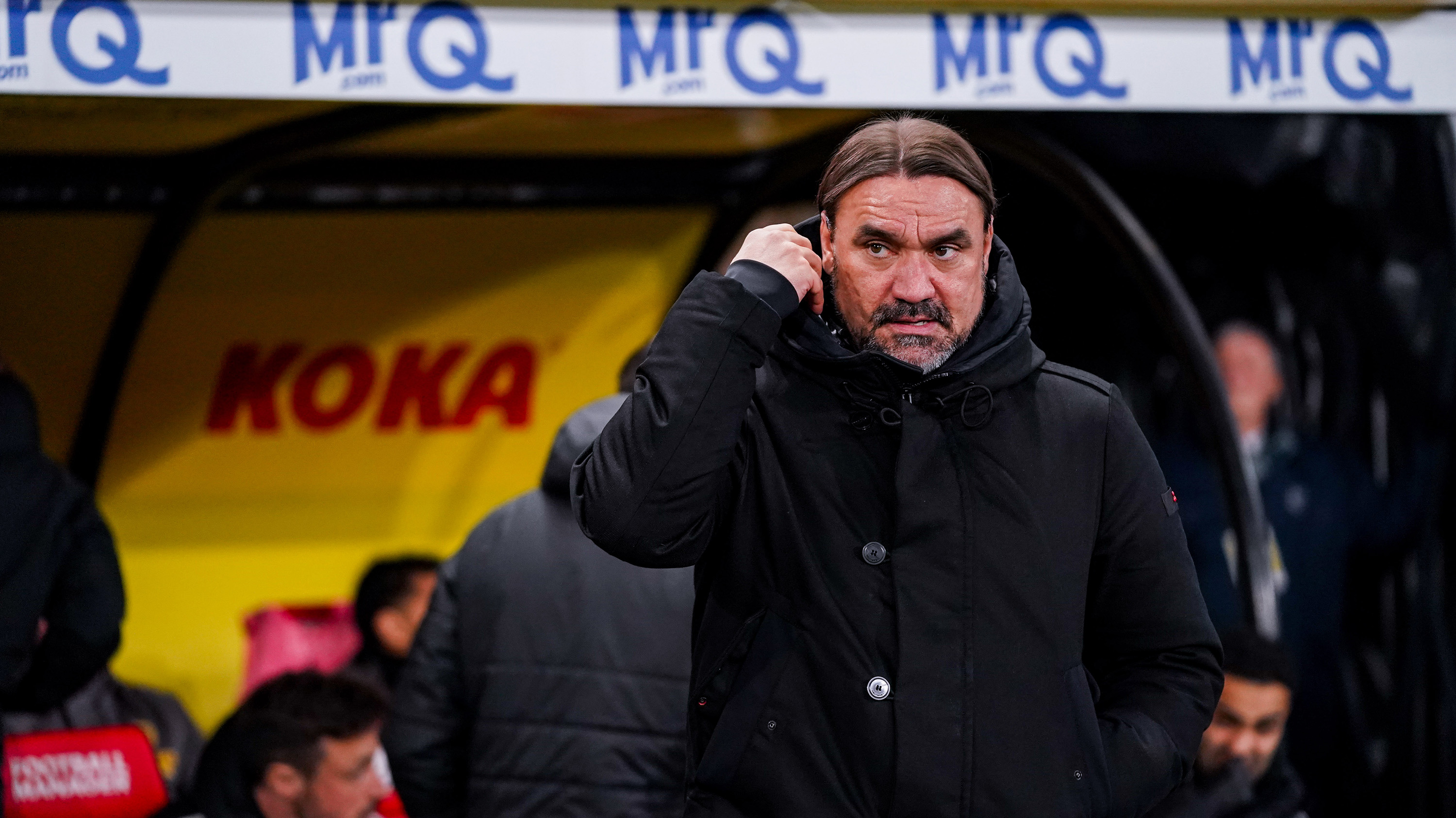Daniel Farke at Watford