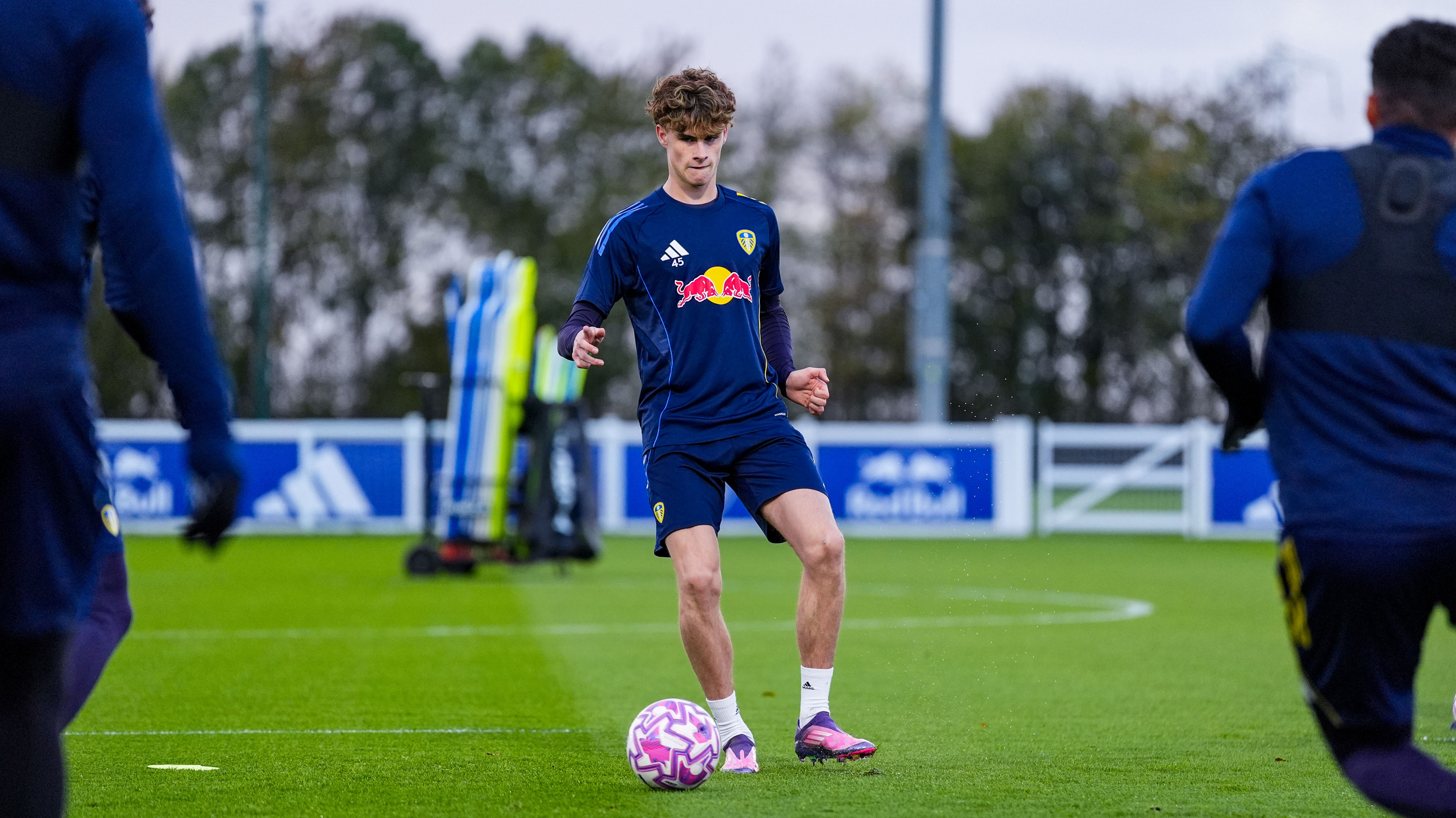 Harry Gray training
