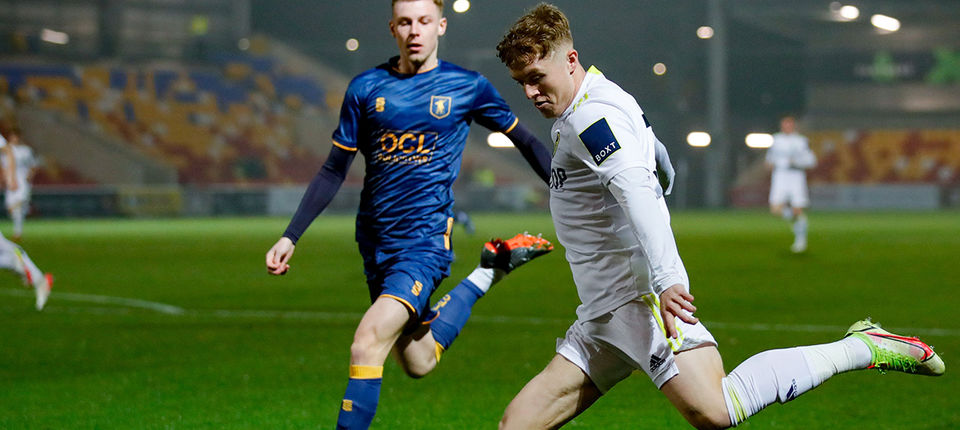 MANSFIELD BANNER.jpg