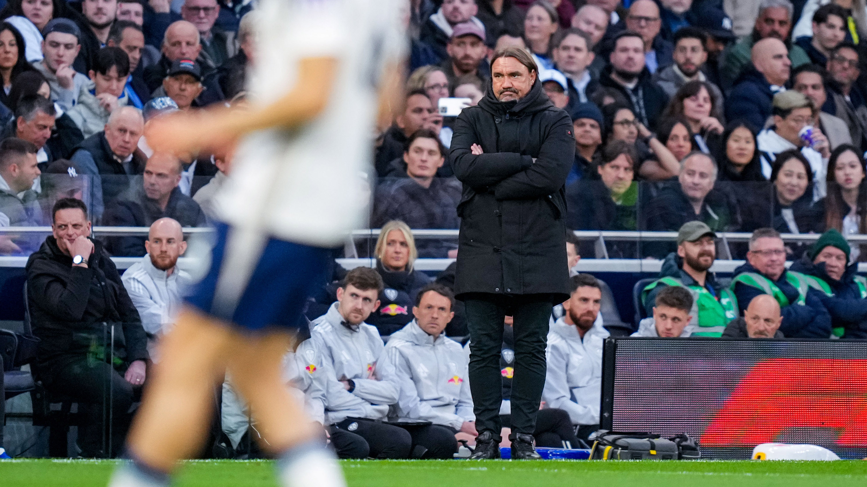 Daniel Farke vs Spurs (Away)