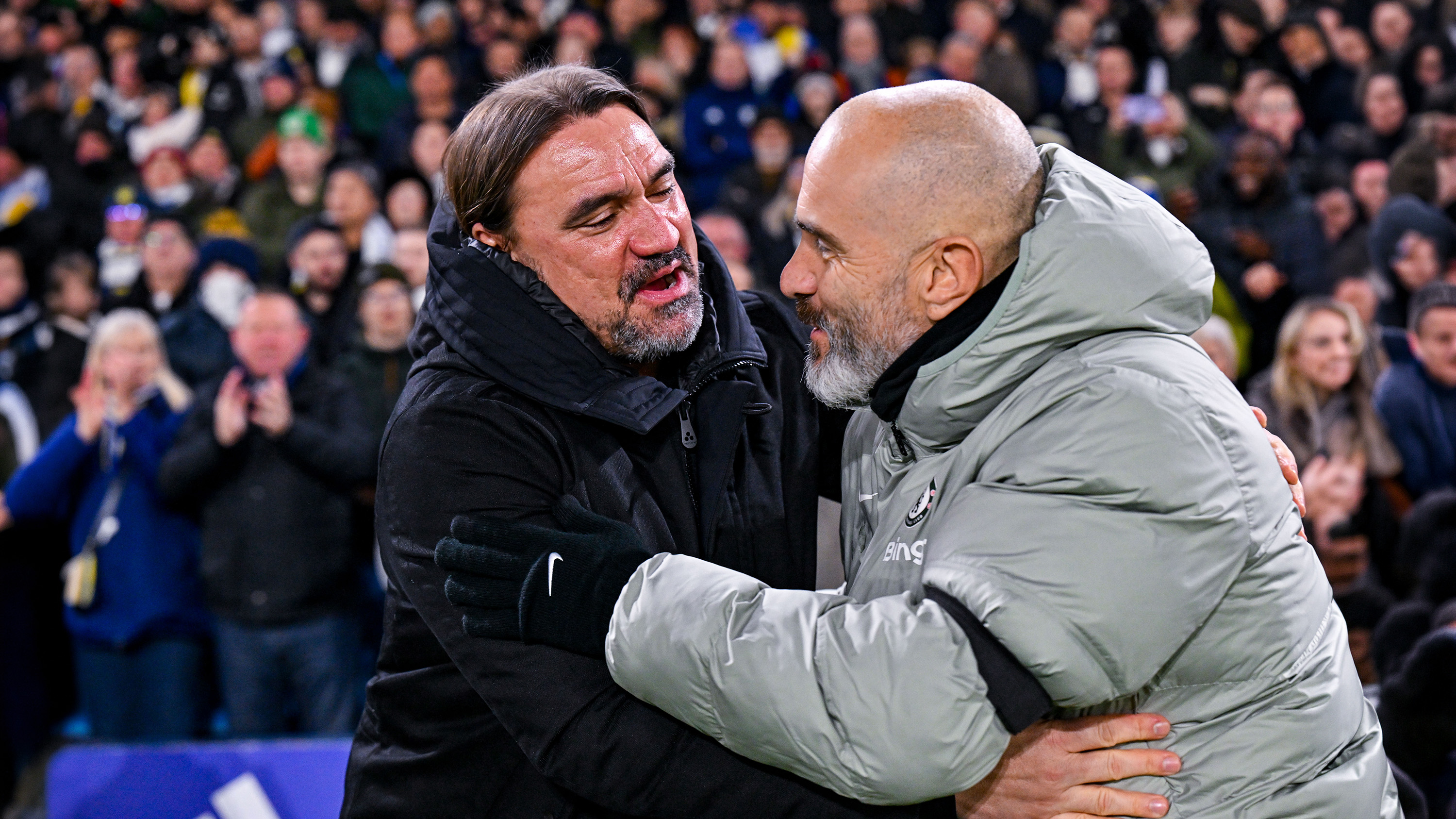 Daniel Farke Chelsea Maresca