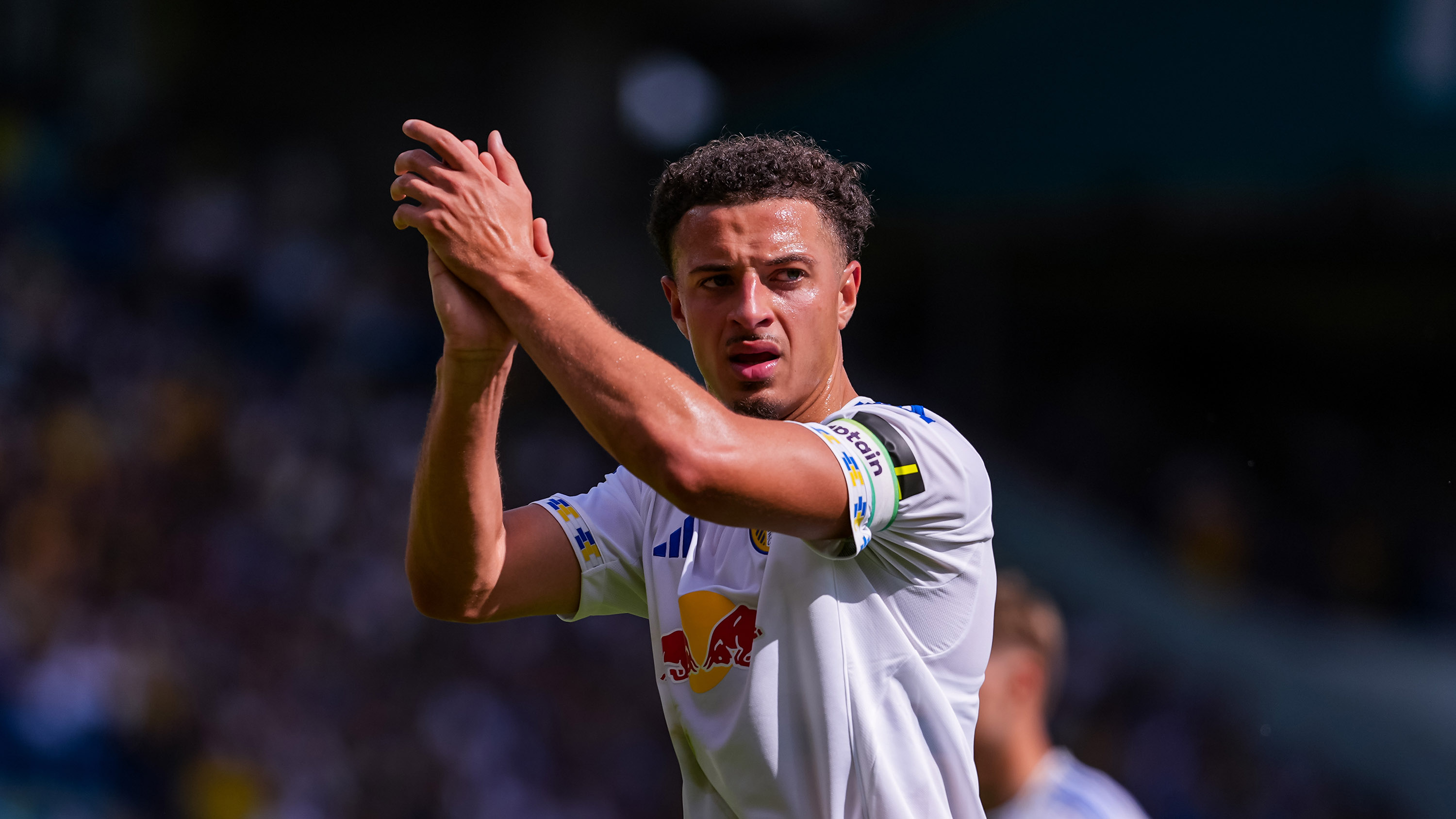 Villarreal Gallery 17