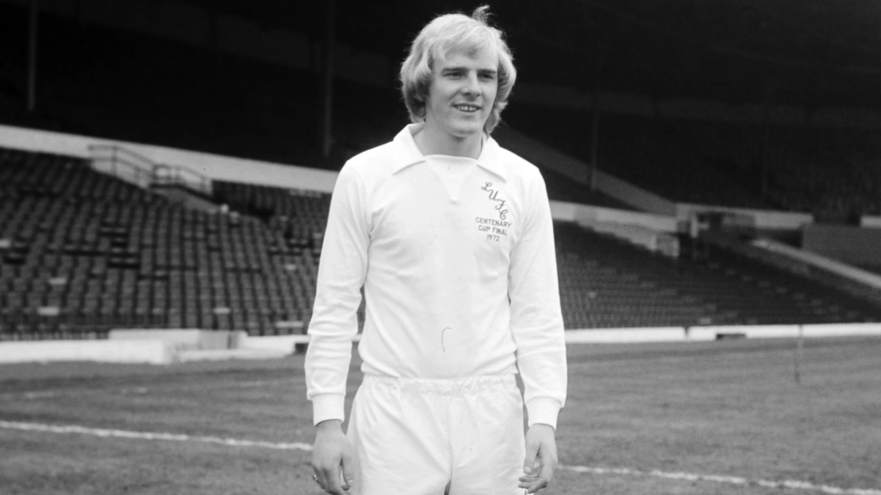 Terry Yorath Picture