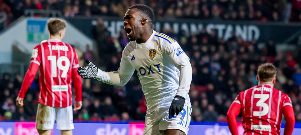 willy gnonto website.png