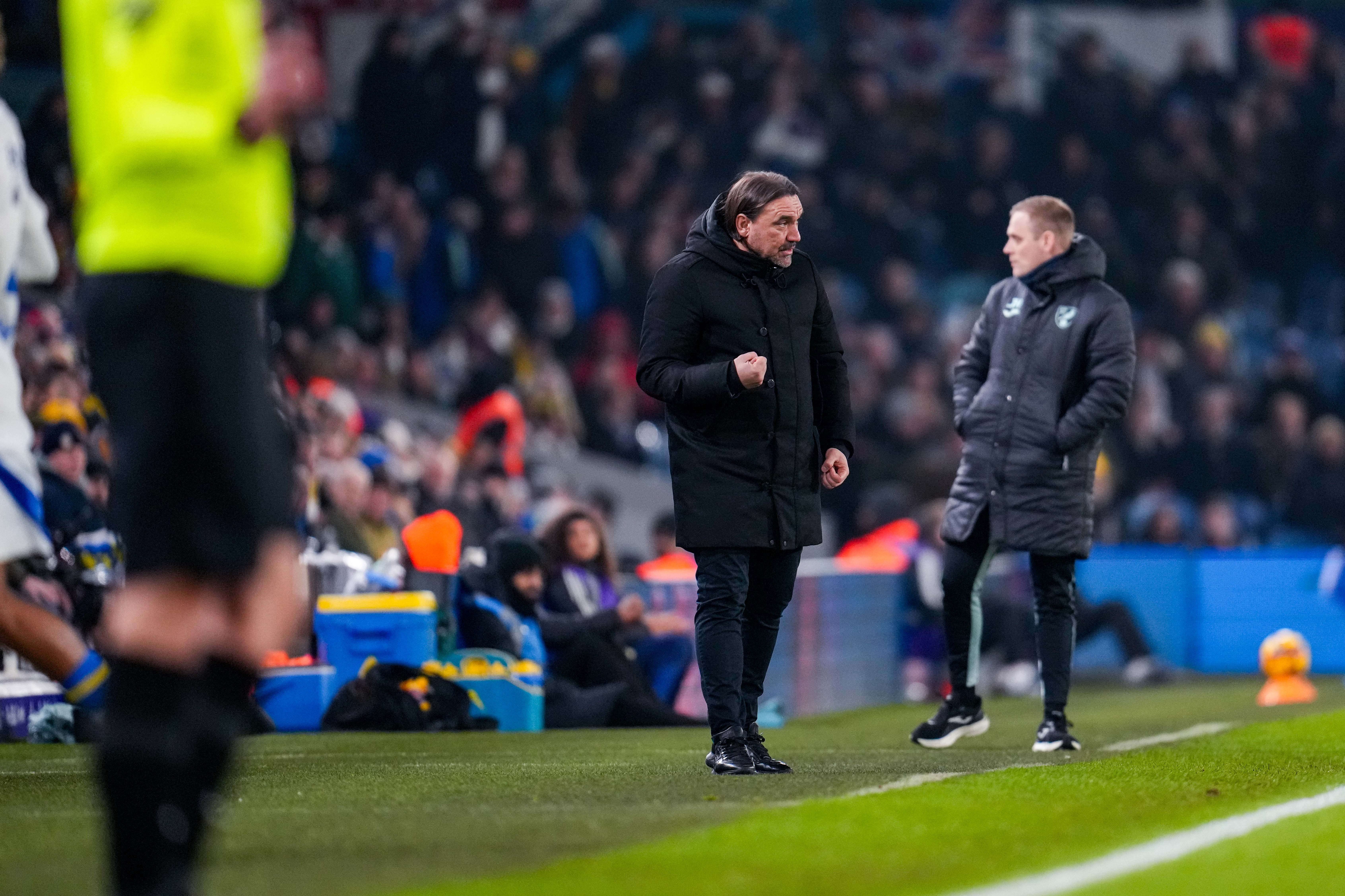 Daniel Farke vs Norwich