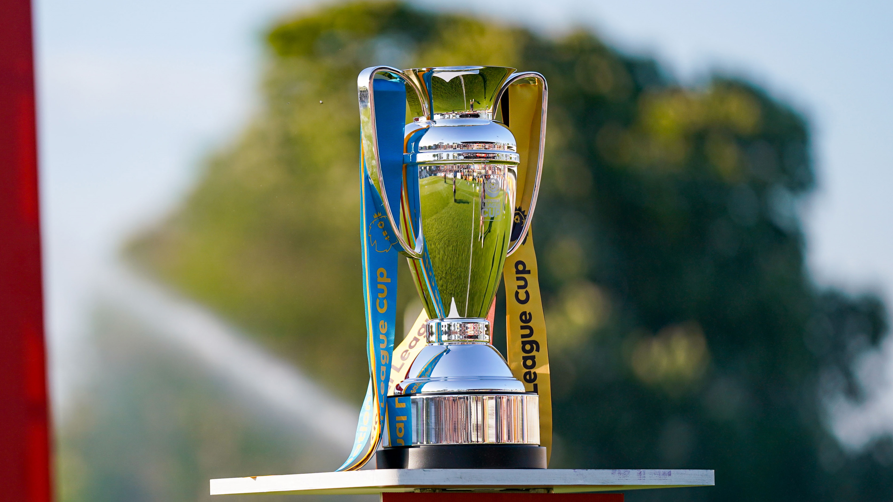 National League Cup trophy