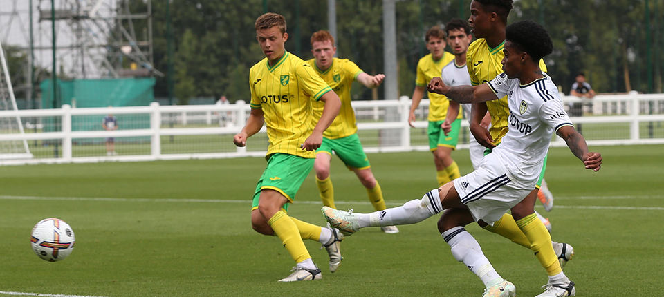 SUMMERVILLE BANNER 1.jpg