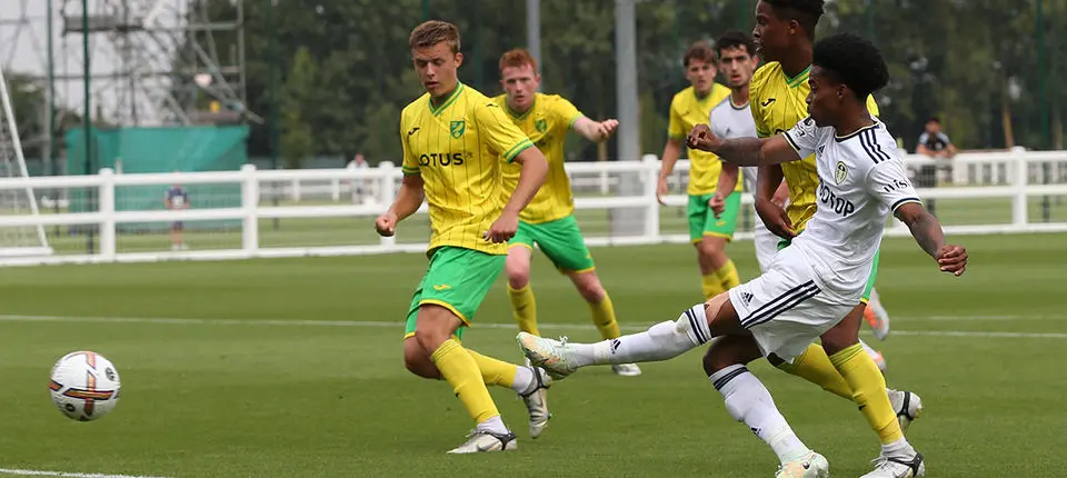 SUMMERVILLE BANNER 1.jpg