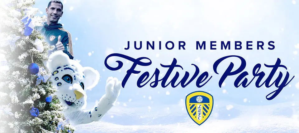 festive party web Story.jpg