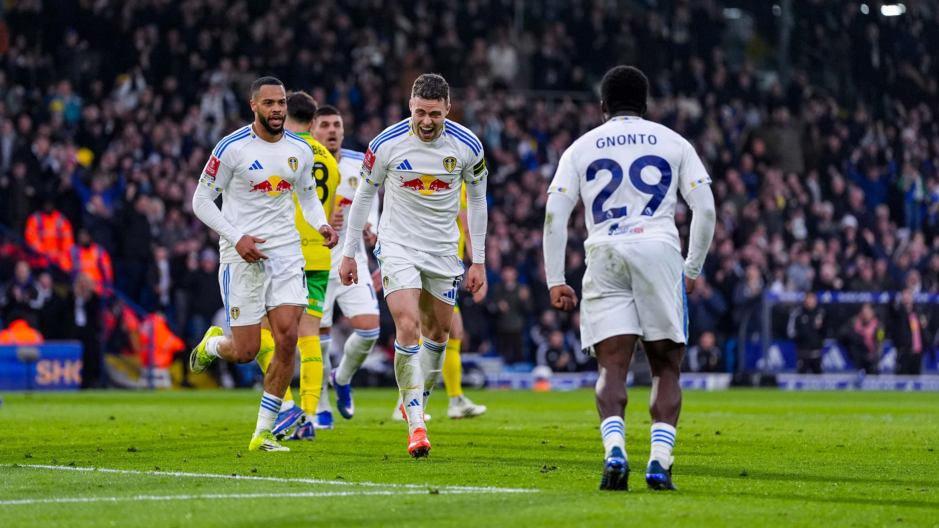 Gabi Gudmundsson goal vs Norwich