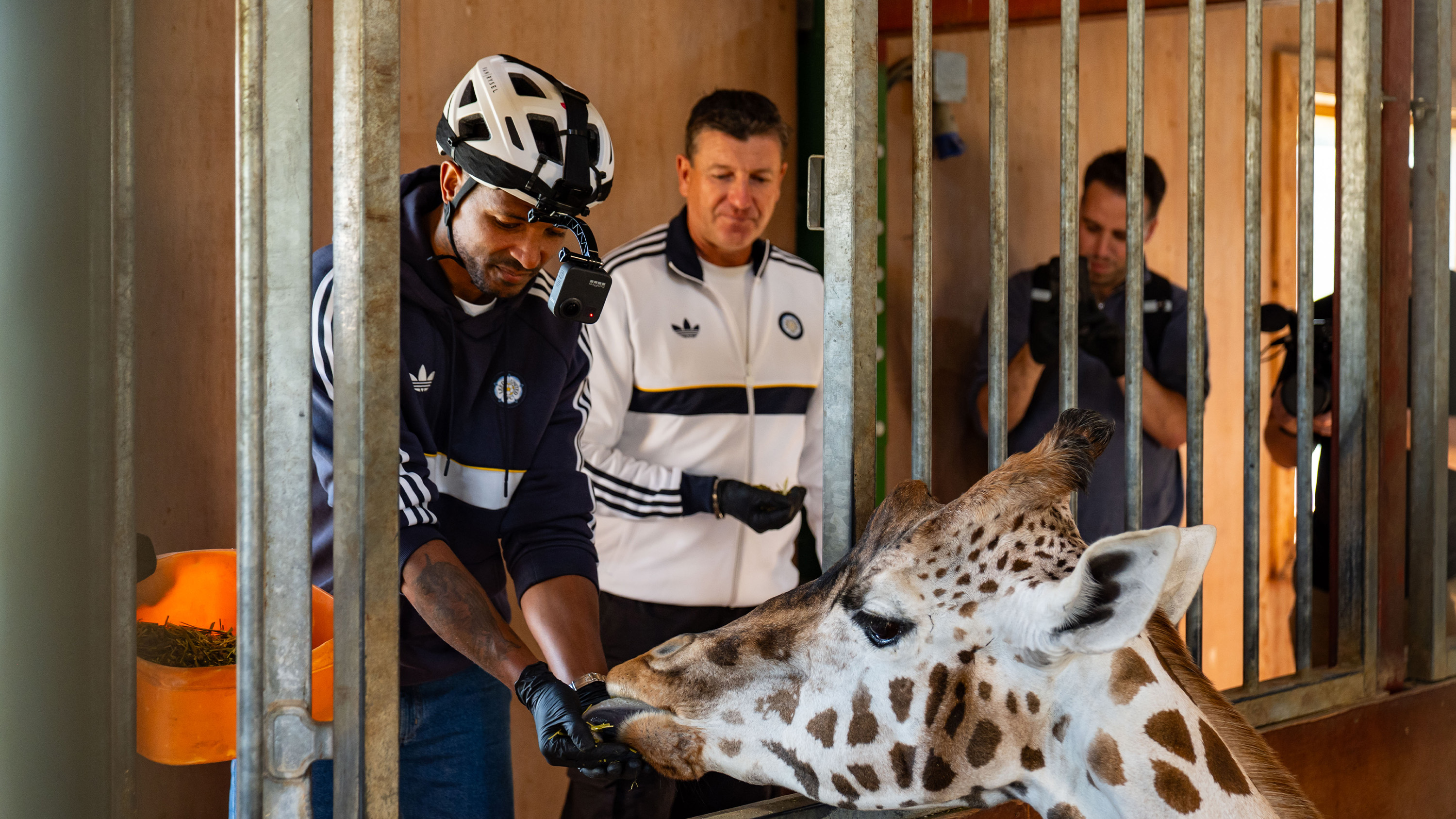 Jermaine Beckford Flamingo Land Oct 26 Feeding Giraffe