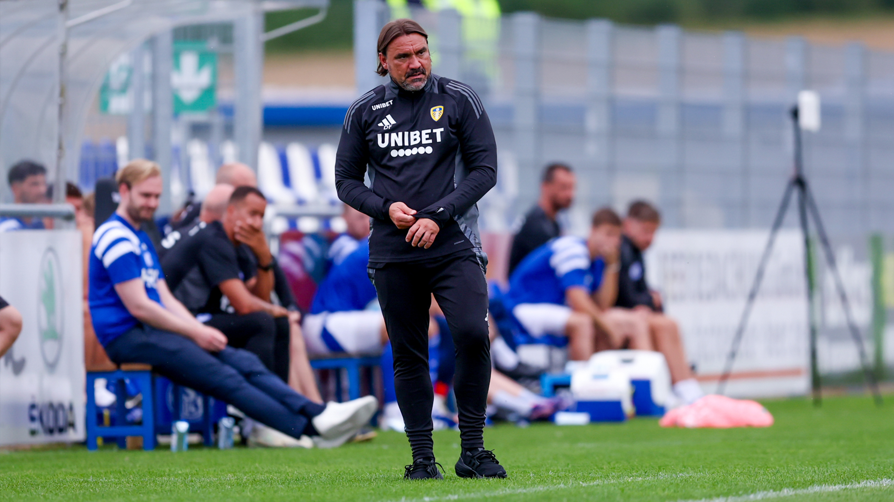 Daniel Farke Schalke 04