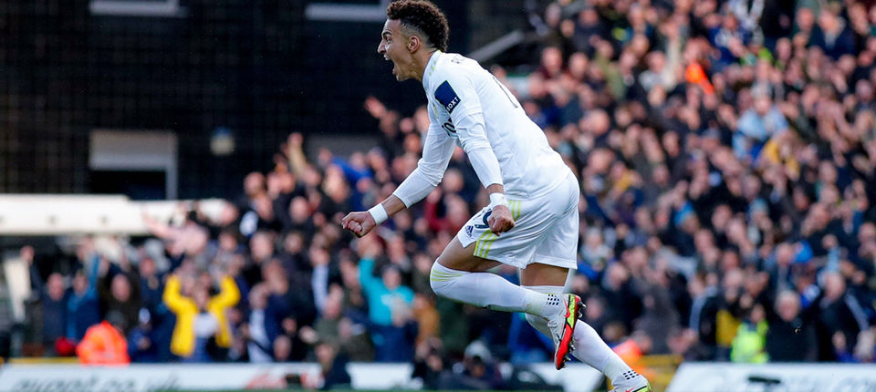 rodrigo banner 1.jpg