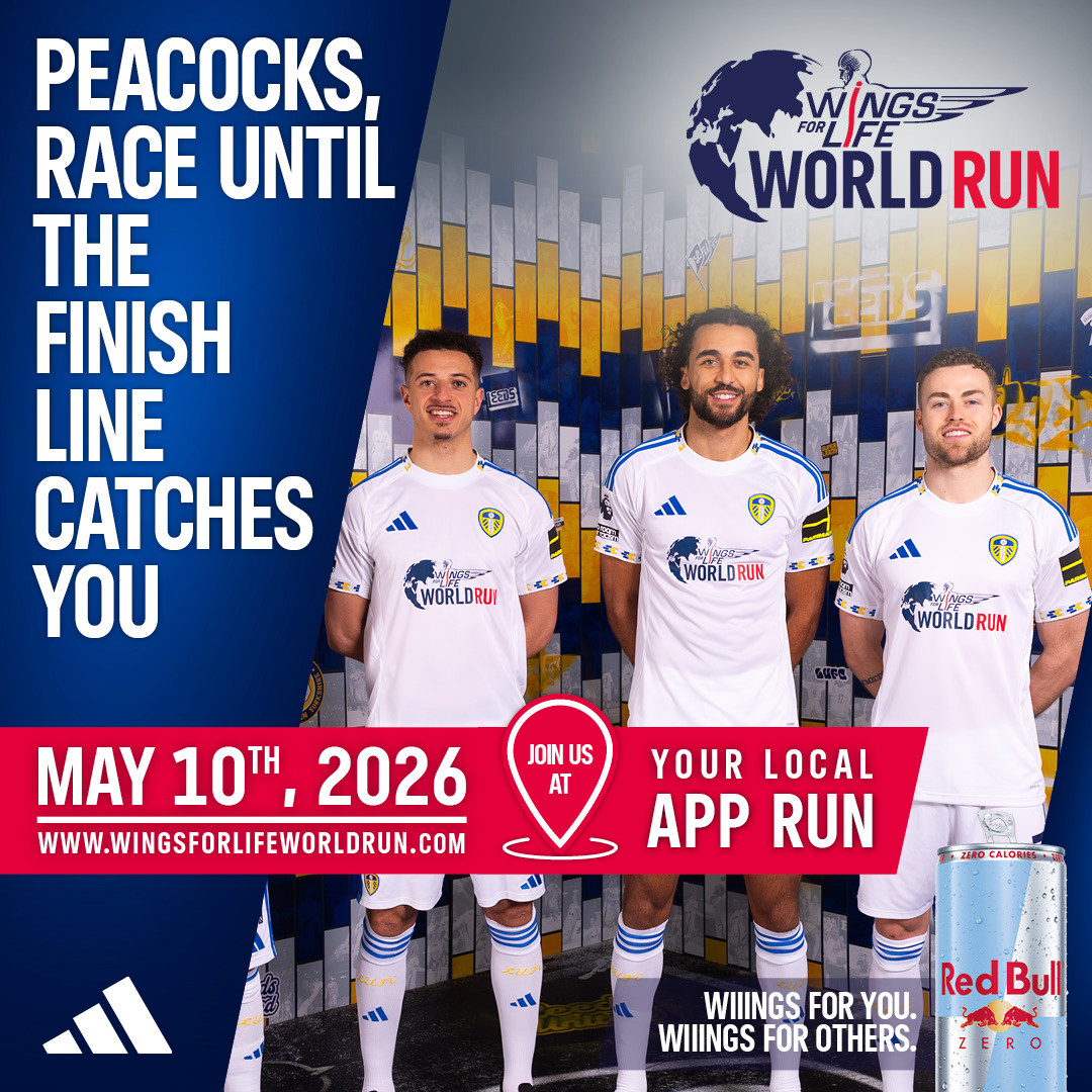 Splash: Wings For Life