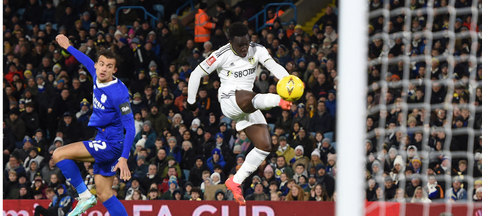 Willy Gnonto Web 1.jpg