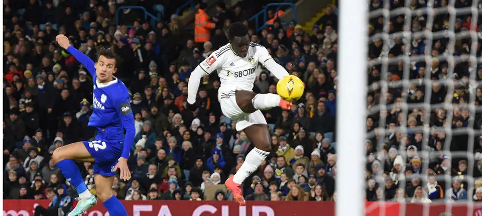 Willy Gnonto Web 1.jpg