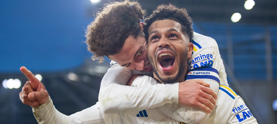 Georgi Banner v3.png