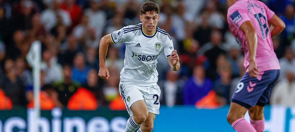 Dan James Web 10.jpg