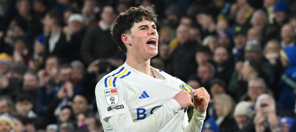 archie feature website.png