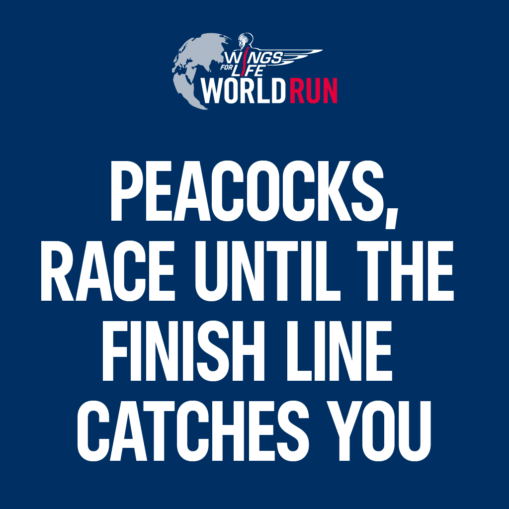 Wings For Life Carousel 01