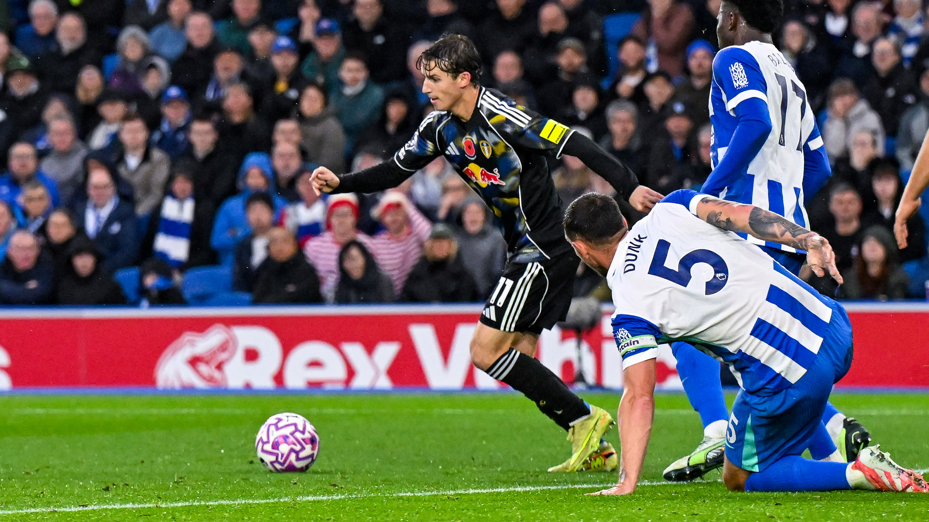 Brenden Aaronson vs Brighton