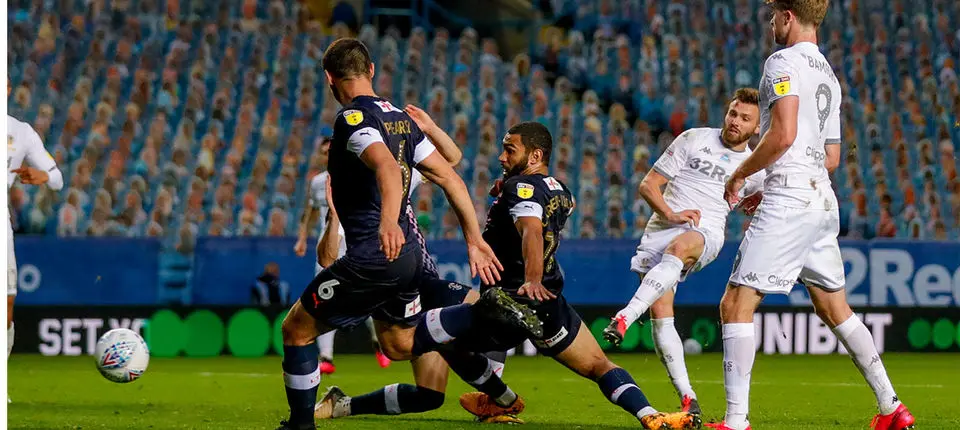 Stuart Dallas Web 27.jpg