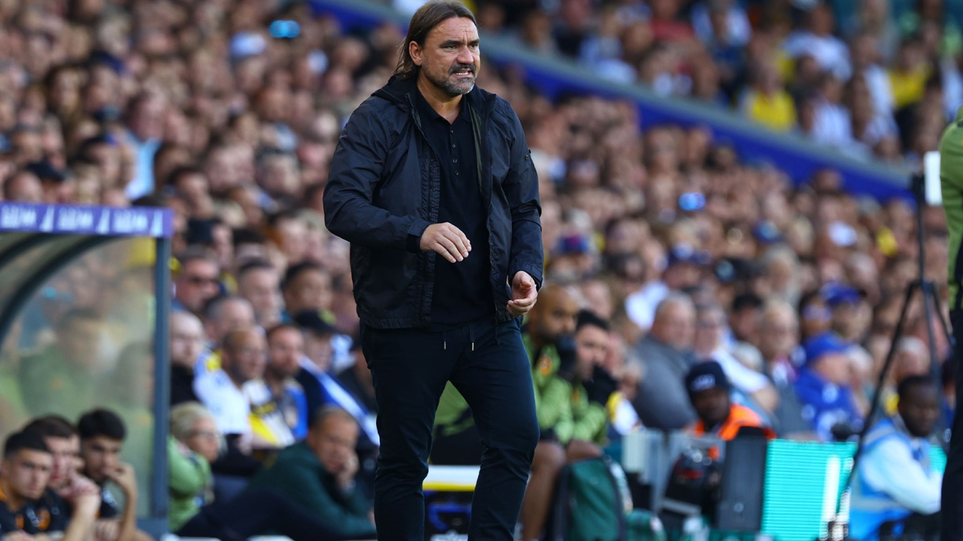 Daniel Farke post Hull