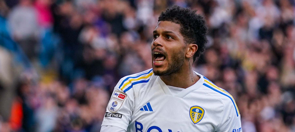 Georginio Web Banner.png