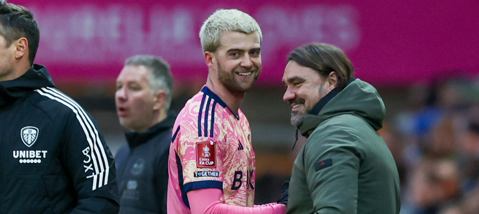 Bamford Peterborough Banner v2.png