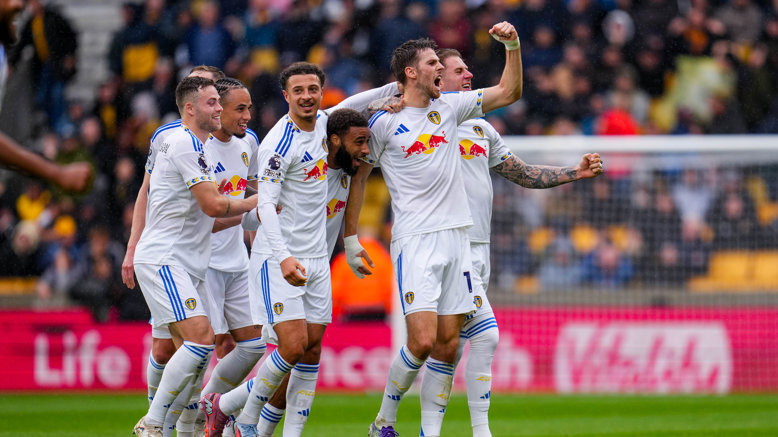 Stach vs Wolves A cele