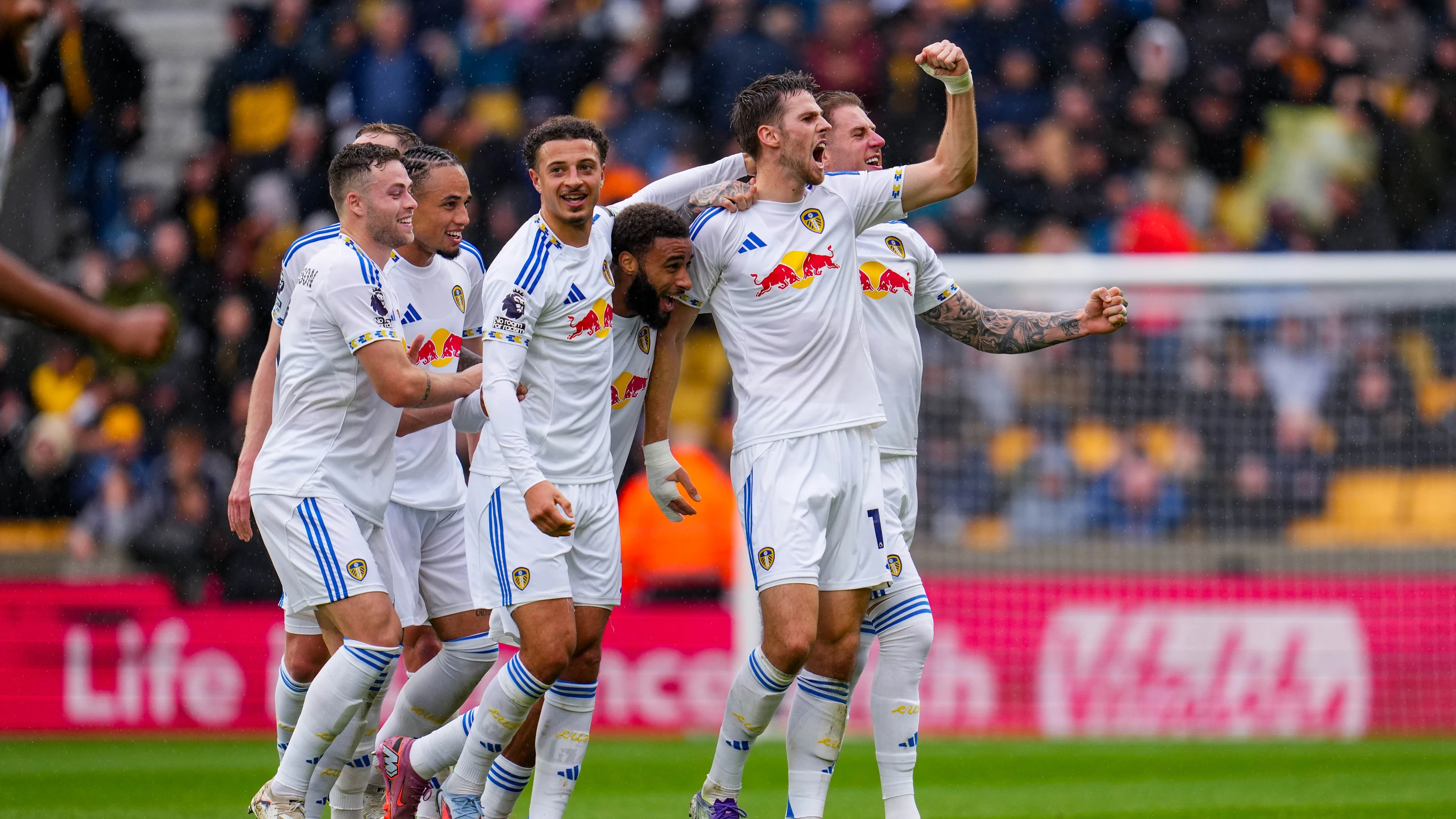 Stach vs Wolves A cele