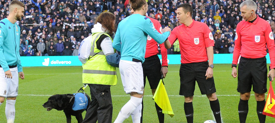 Rita guide dog banner.jpg