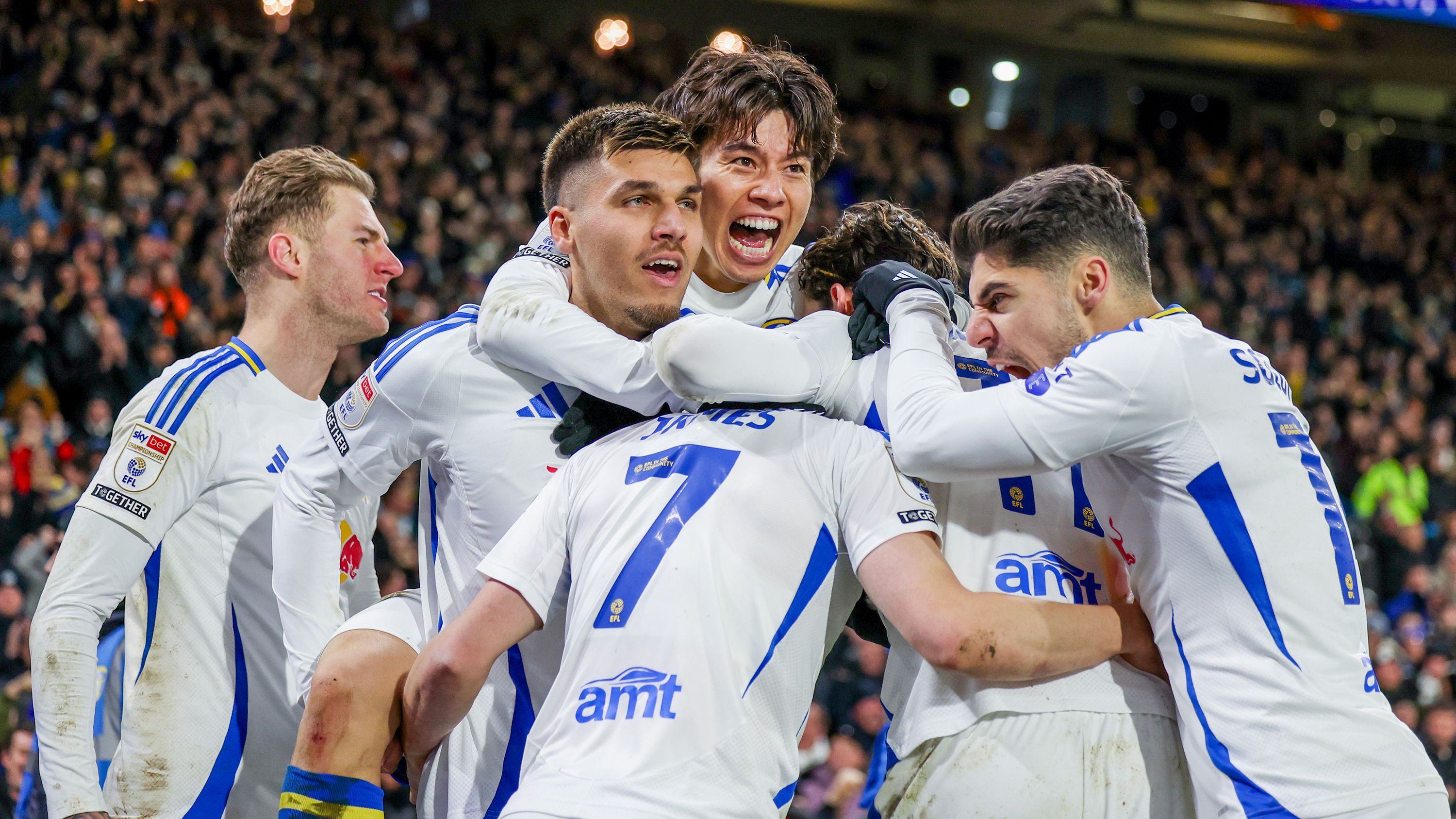 CELEBRATION UNDER LIGHTS