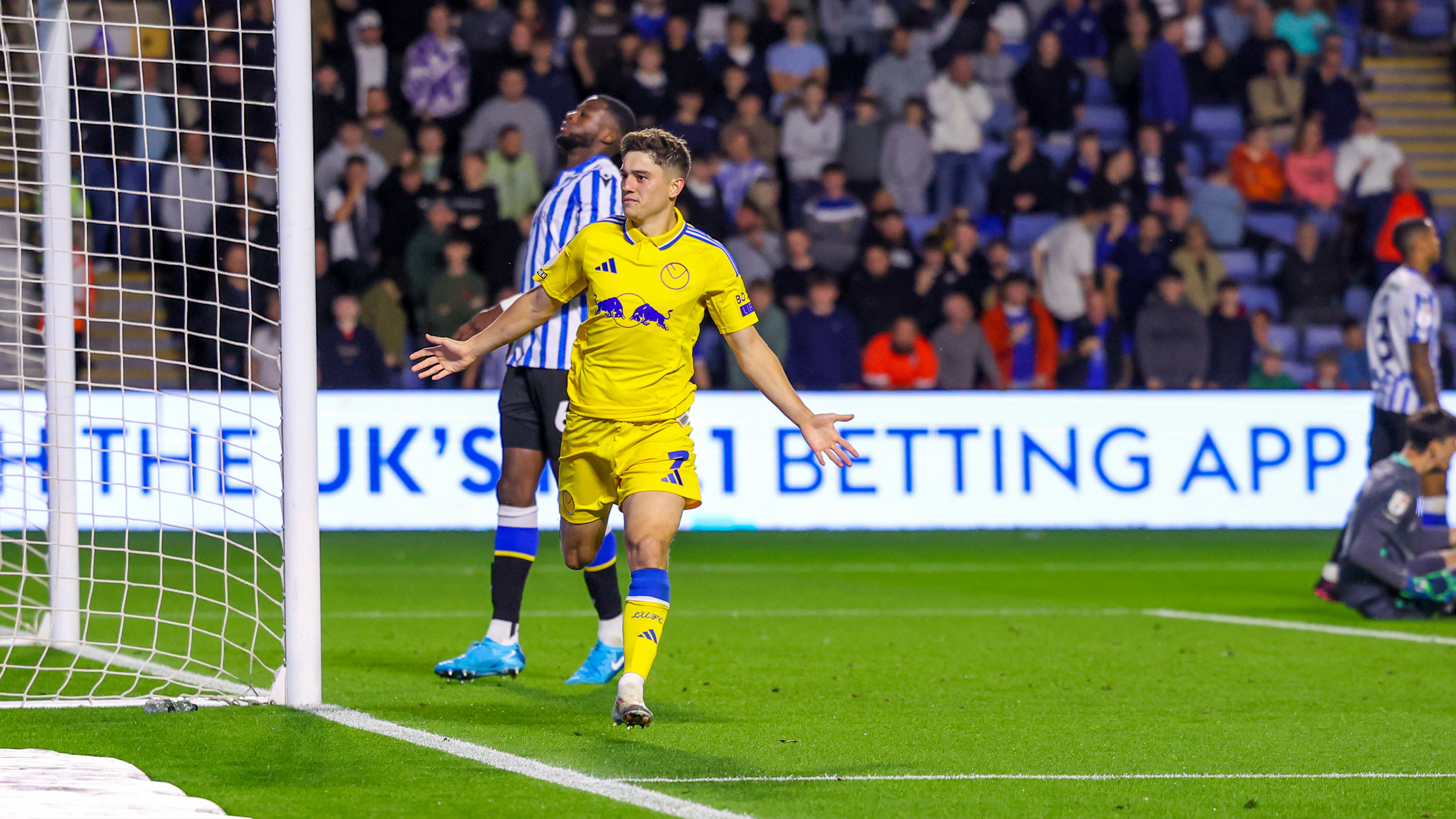 DAN JAMES SHEFFIELD WEDNESDAY