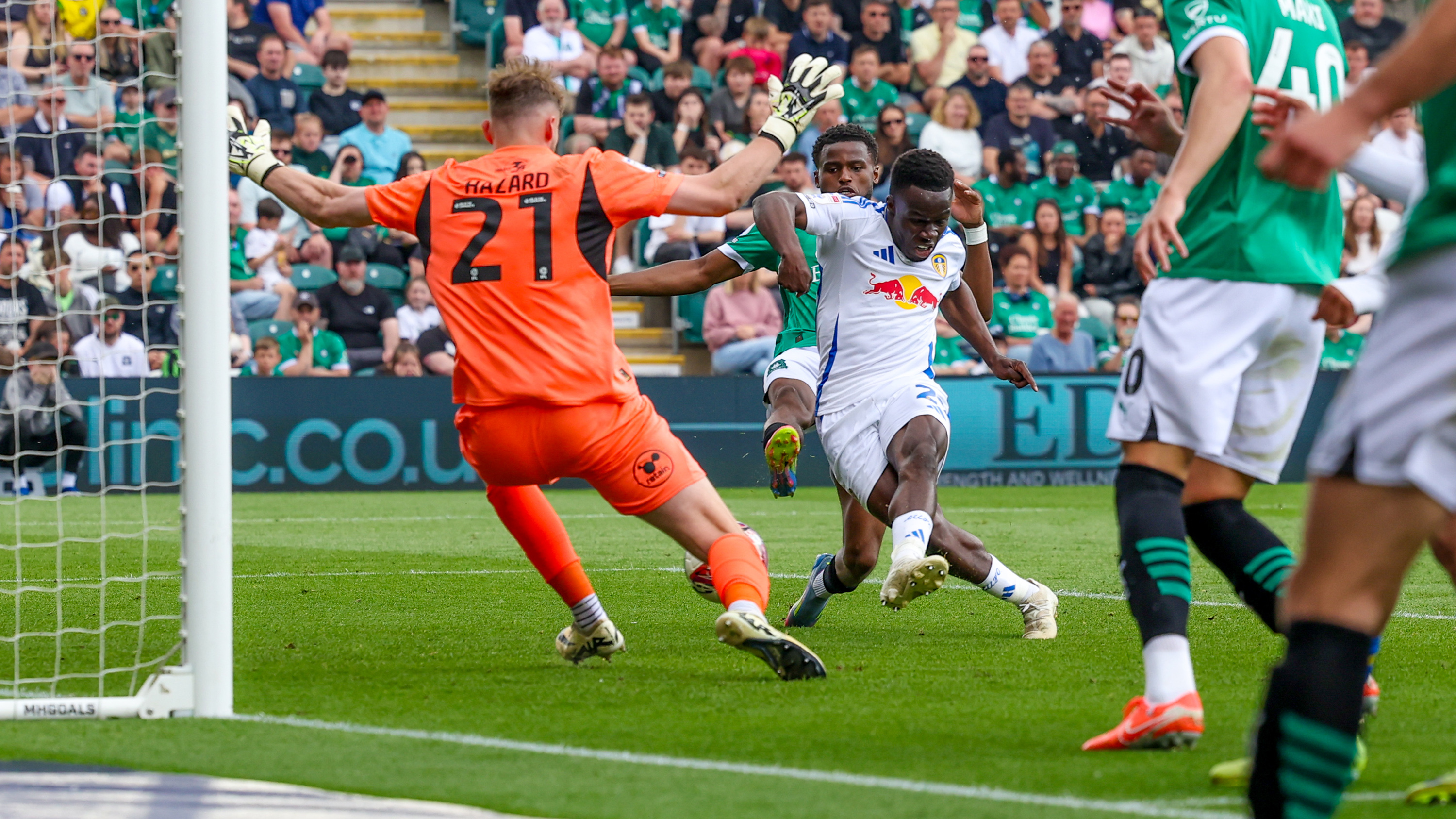 Gnonto Plymouth Scoring