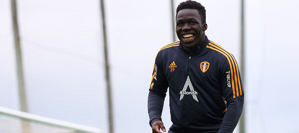 aaa willy banner.jpg