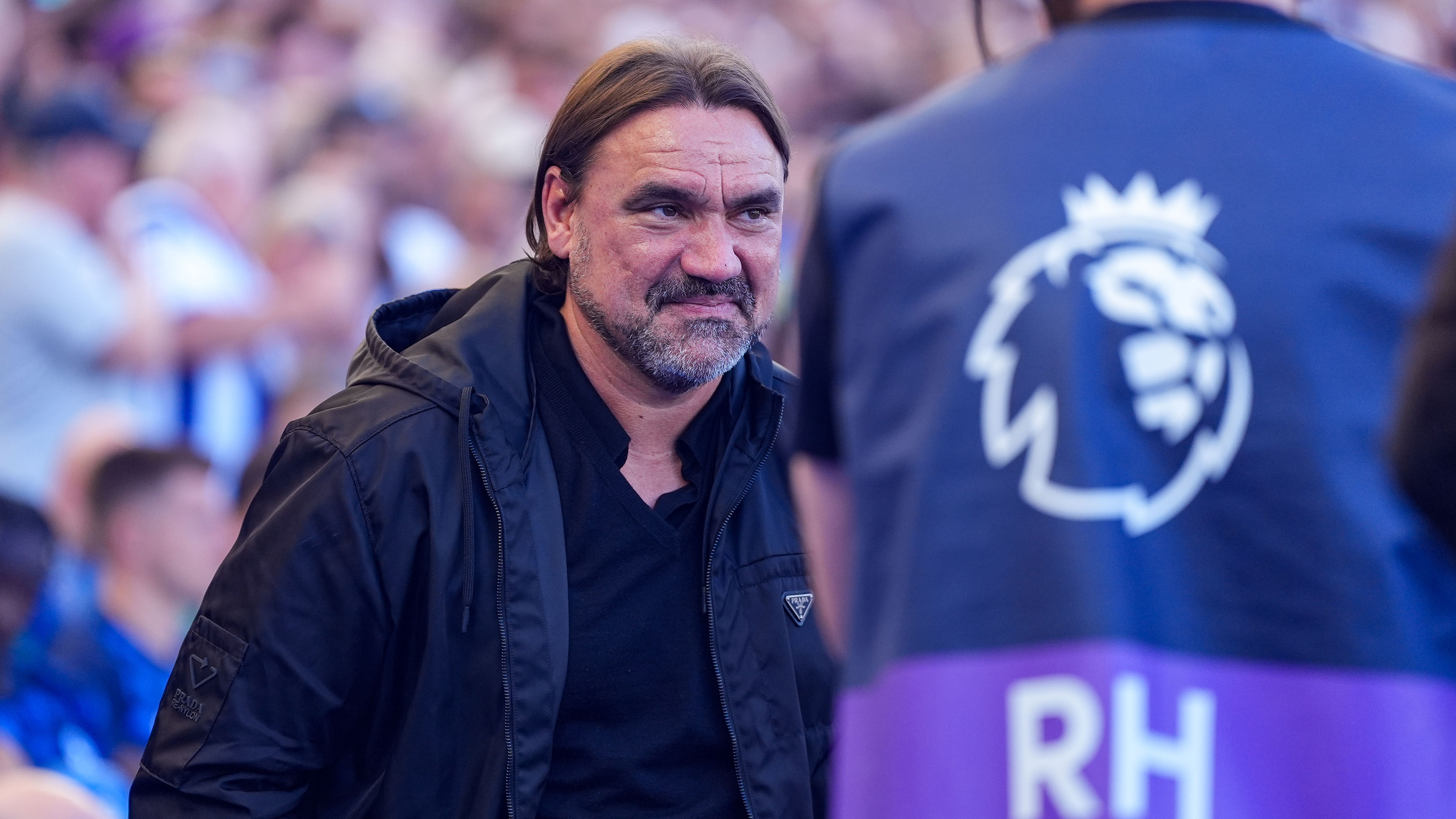 Daniel Farke Brighton Sept 26 Smiling