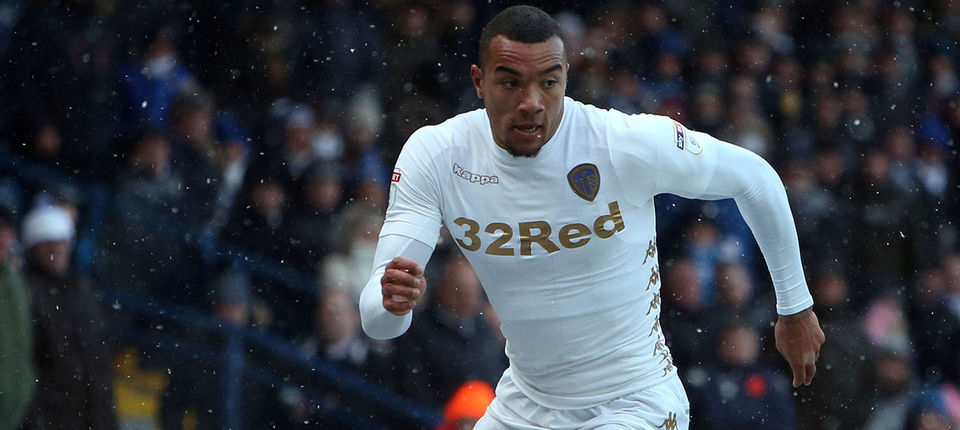 Jay Roy Grot Web.jpg