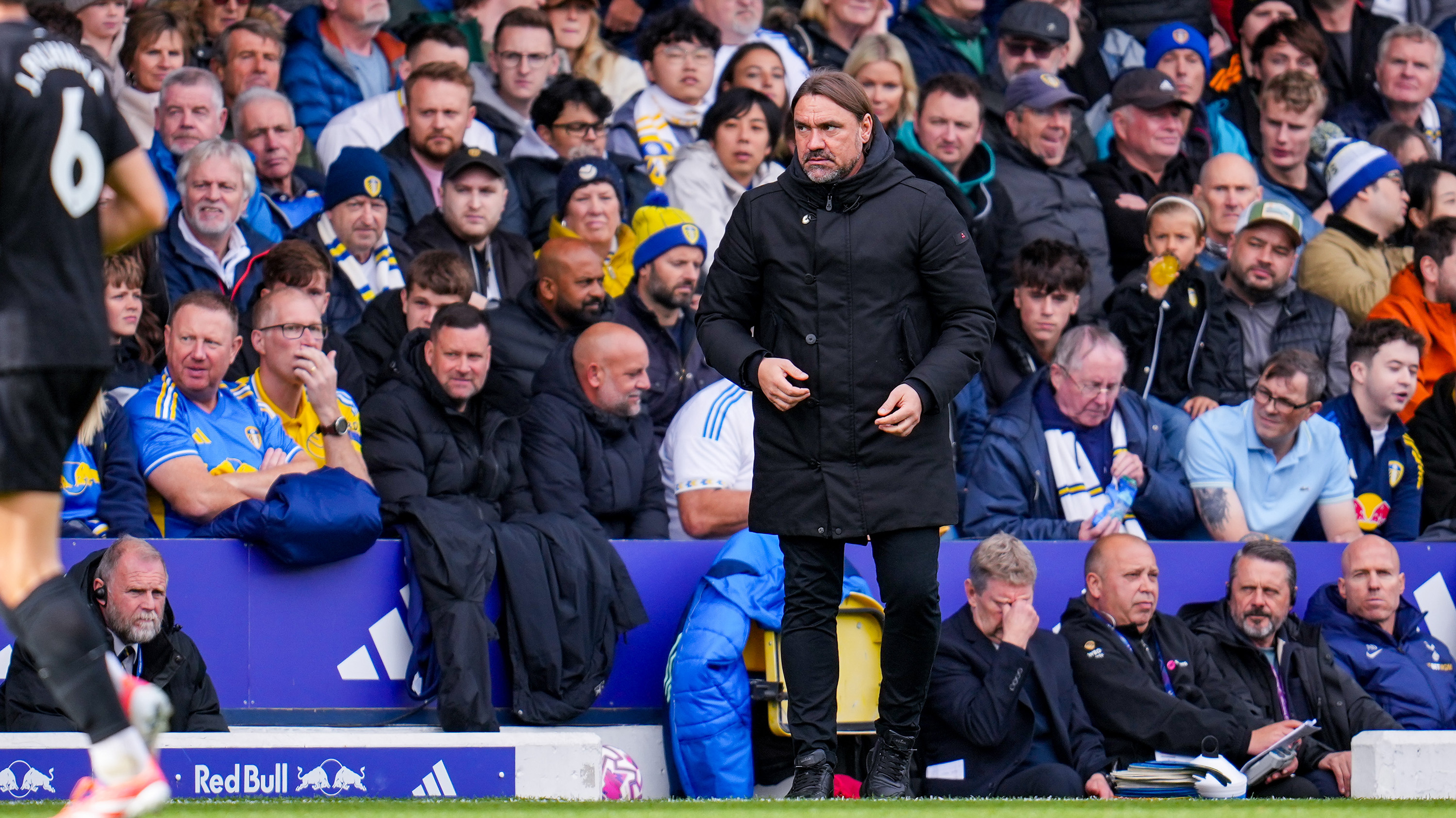 Daniel Farke vs Spurs