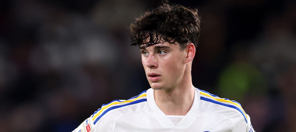 Archie in Focus Banner.png