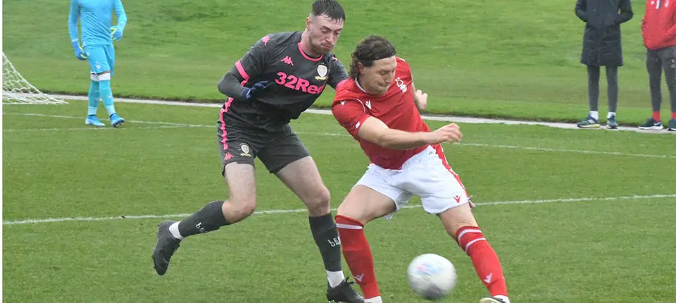 Forest Article Web 1.jpg