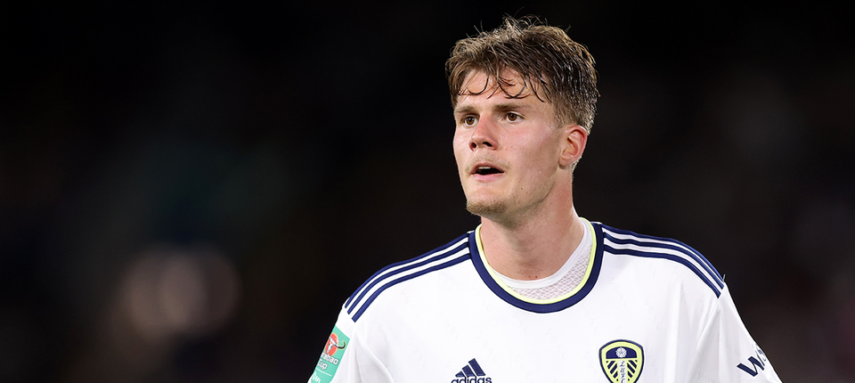 Leo Hjelde Banner.png