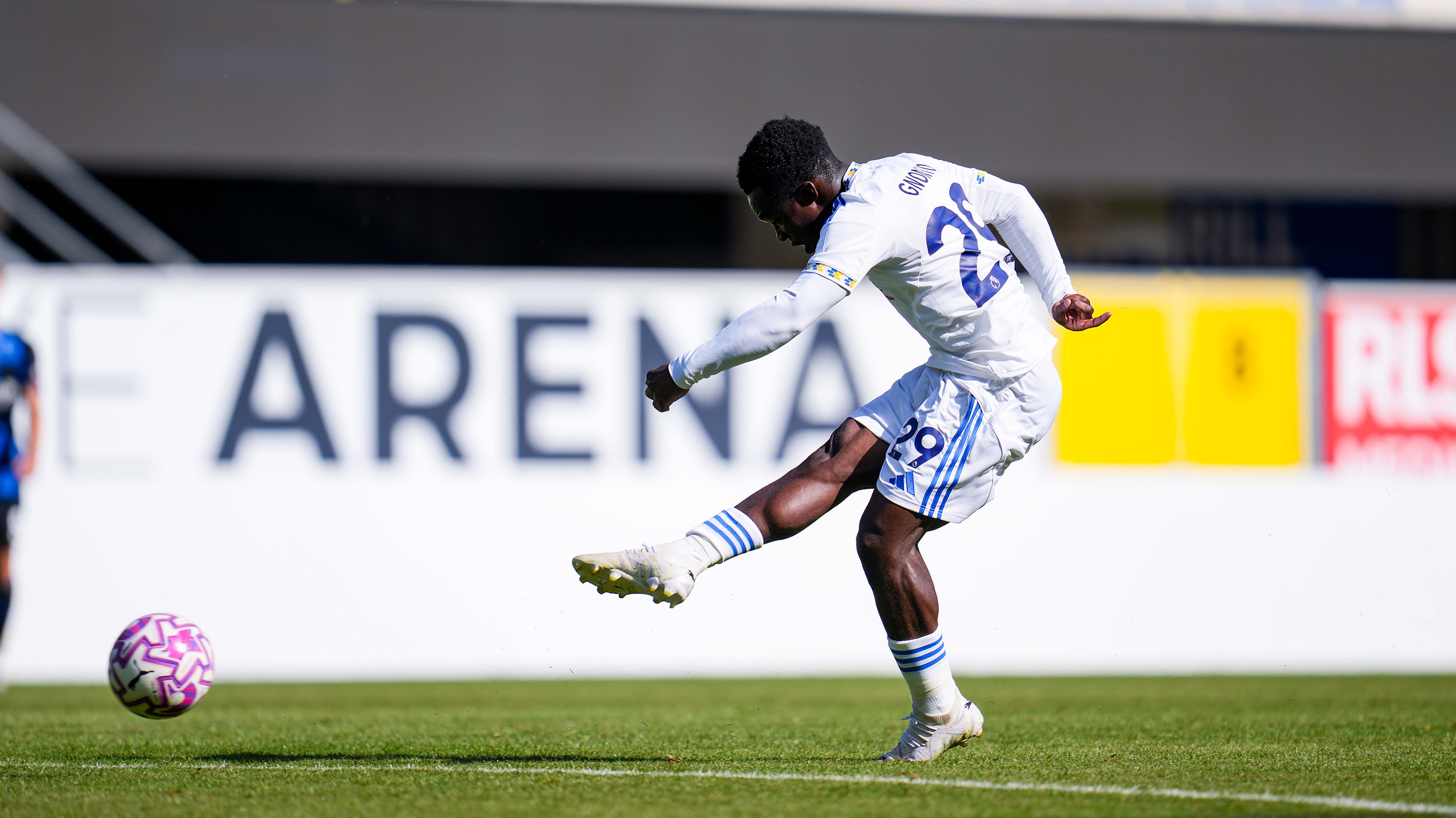 Gnonto goal vs SC Paderborn